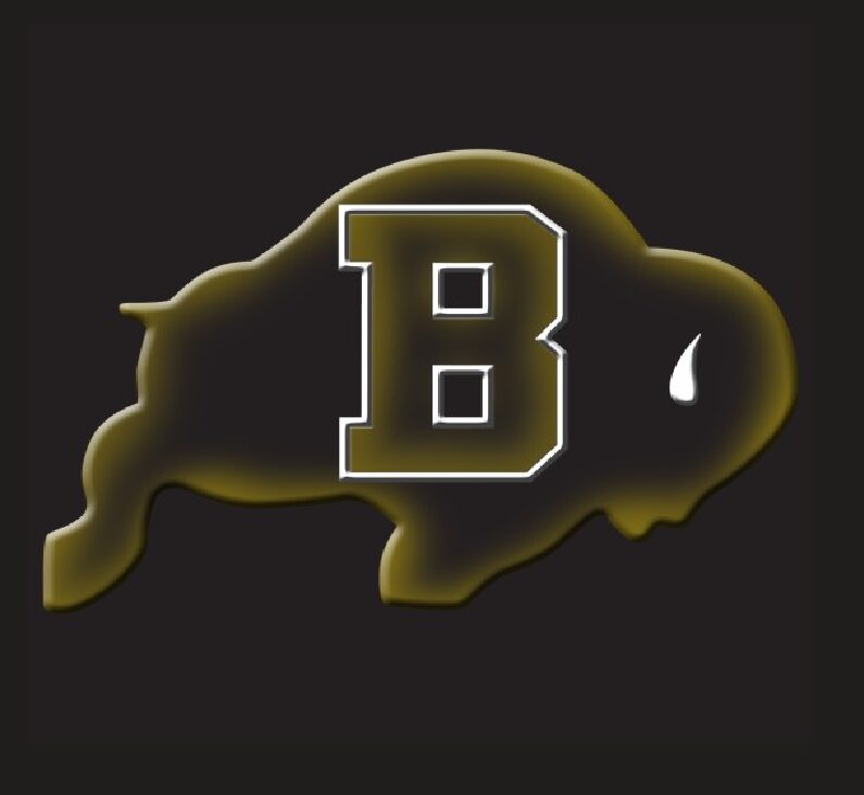 Illustration of a buffalo silhouette and the letter “B”